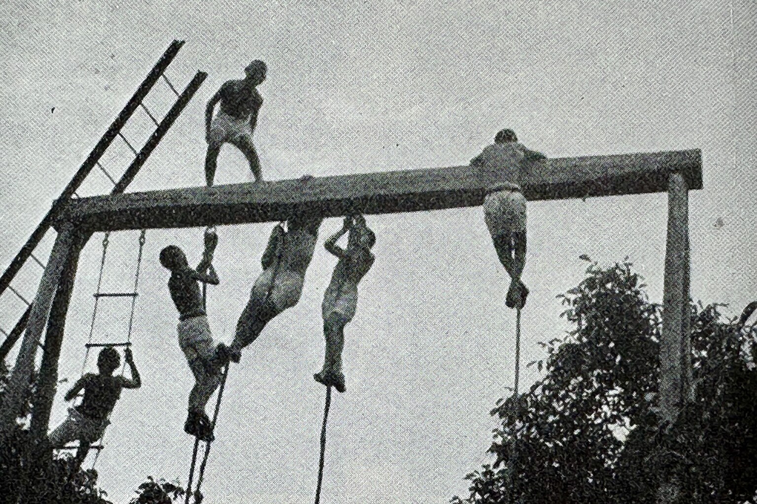 Photo d'archive : groupe grimpant à la corde et à l'échelle jusqu'à un portique en bois